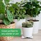 6-Pack Resin Garden Pot Feet – 3" Long x 1.5" Tall Plant Risers for 14-20" Pots, Frost-Proof Flower Pot Elevators for Outdoor and Indoor Planters (White, Classic)